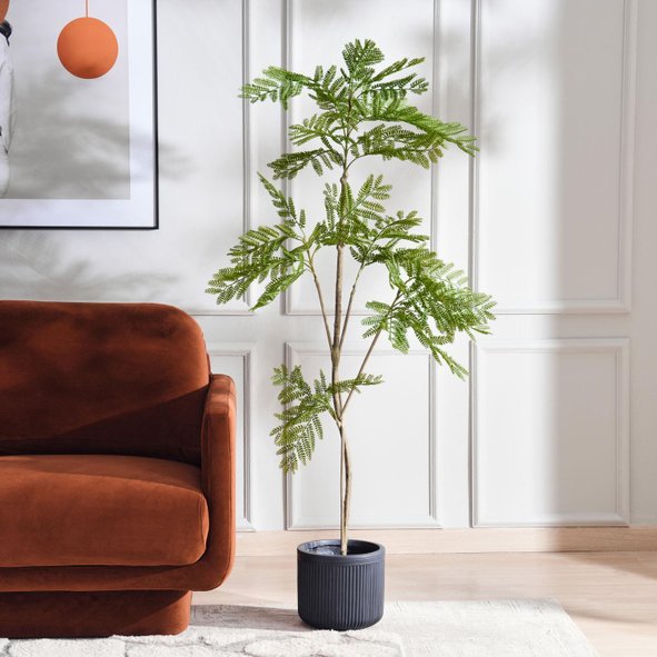 Jacaranda Tree With Pot H150cm Green